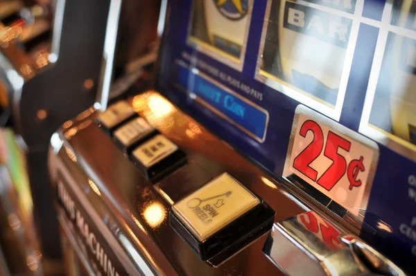 i777 বেট প্ল্যাটফর্মে লাইভ ক্রিকেট বেটিং